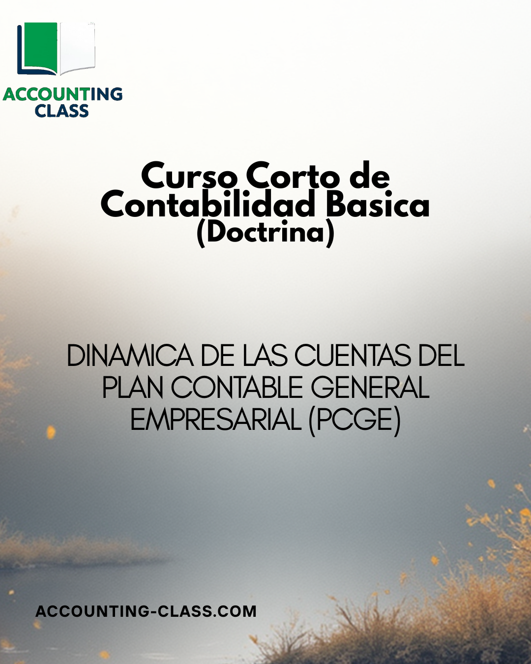 DINAMICA DE LAS CUENTAS DEL PLAN CONTABLE GENERAL EMPRESARIAL (PCGE)