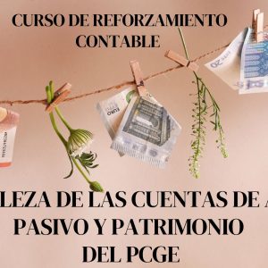 NATURALEZA DE LAS CUENTAS del ACTIVO, PASIVO y PATRIMONIO del Plan Contable General Empresarial (PCGE)