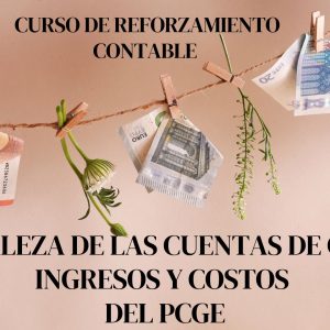 FUNDAMENTOS DEL PLAN CONTABLE GENERAL EMPRESARIAL (PCGE): ACTIVO, PASIVO, PATRIMONIO y PARTIDA DOBLE