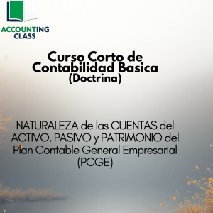 NATURALEZA DE LAS CUENTAS del ACTIVO, PASIVO y PATRIMONIO del Plan Contable General Empresarial (PCGE)
