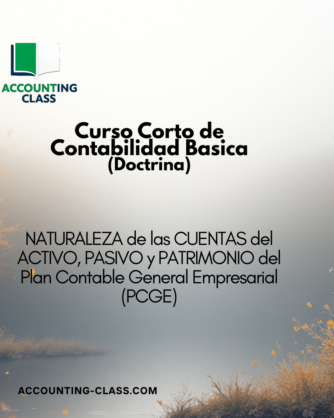 NATURALEZA DE LAS CUENTAS del ACTIVO, PASIVO y PATRIMONIO del Plan Contable General Empresarial (PCGE)